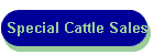 Special Cattle Sales